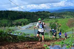 BIB: 8297
                            <button type="button" onclick="openModal(13381190)" class="btn btn-primary btn-sm float-right btn-popup" data-toggle="modal" data-target=".modal-high-quality">
                        <i class="fas fa-shopping-cart"></i> Add to Cart
                    </button>
                                            <button type="button" onclick="isThisMe(13381190, true)" class="btn btn-success btn-sm float-right btn-popup btn-isme hidden" data-toggle="tooltip" data-placement="bottom" title="นี่คือรูปของคุณใช่ไหม คลิกที่นี่เพื่อเอาเข้าอัลบั้ม">
                        <i class="fas fa-plus"></i> Add to album
                    </button>
                    <button type="button" onclick="isThisMe(13381190, false)" class="btn btn-warning btn-sm float-right btn-popup btn-isnotme hidden">
                        <i class="fas fa-ban"></i> Remove from album
                    </button>